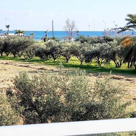 Villa Utopia Paphos Kültér fotó