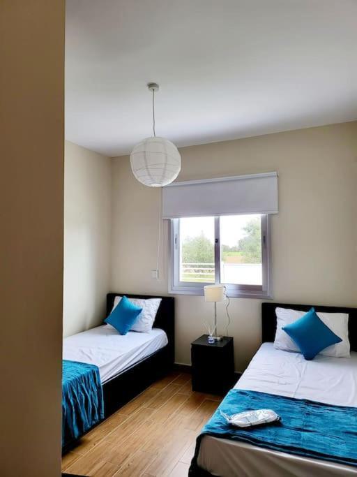 Villa Utopia Paphos Kültér fotó