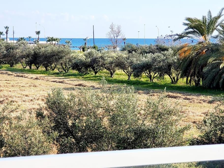 Villa Utopia Paphos Kültér fotó